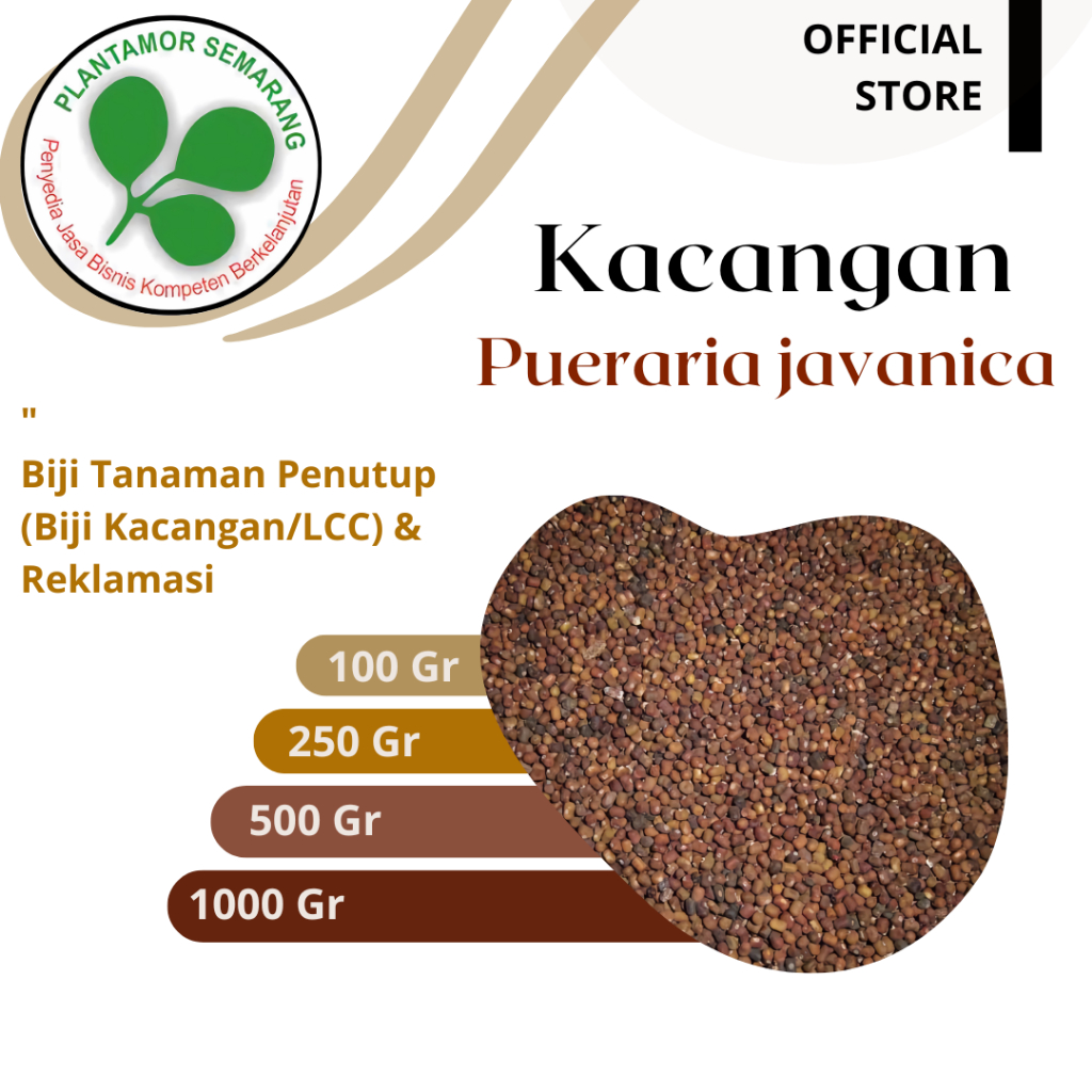 Benih PJ Pueraria javanica / Benih LCC / Kemasan 100 - 1000 gr