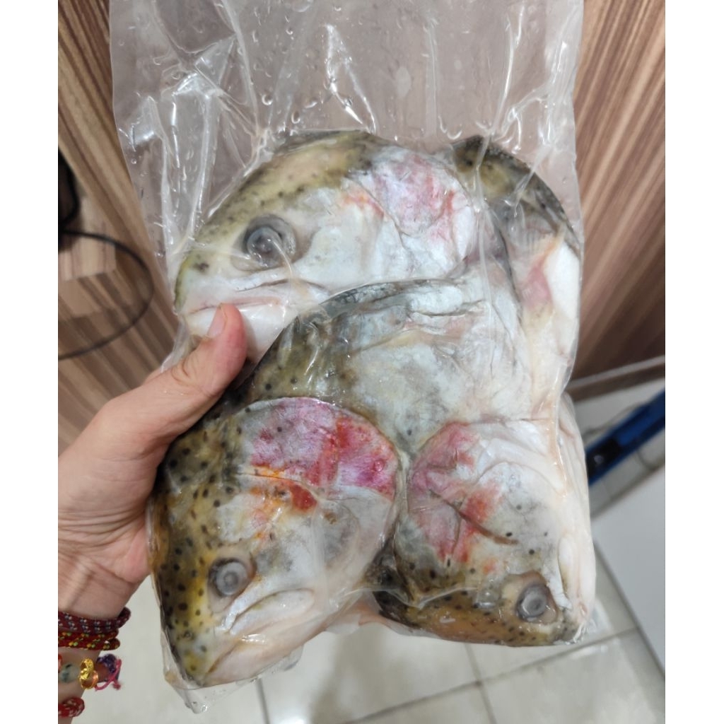 Kelapa Ikan Salmon 1kg / Kepala Salmon