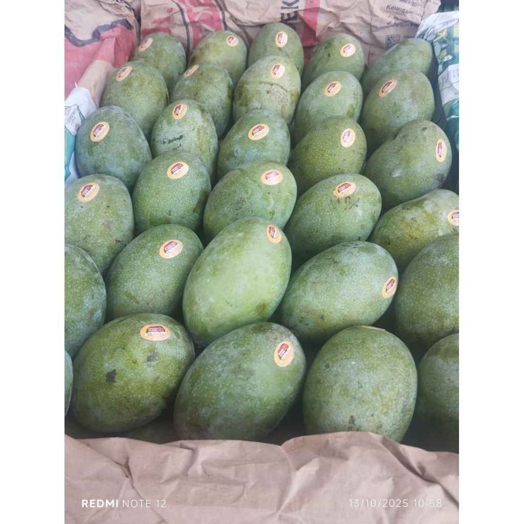 Mangga Manalagi Super