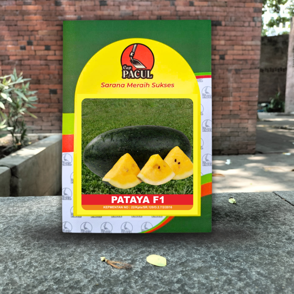 Benih semangka inul kuning pataya cap kujang CAP PACUL