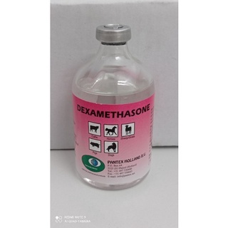 PREMIX - PANTEX DEXAMETHASON 100 ML - Obat Anti Inflamasi Ternak Pantex Holland Dexamethason - Dexa 
