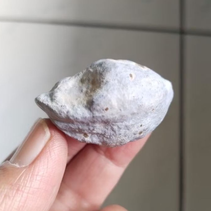 Kemiri Adu Muncang Adu Jayanti Milenial Petot Penyok Tua Jatuhan