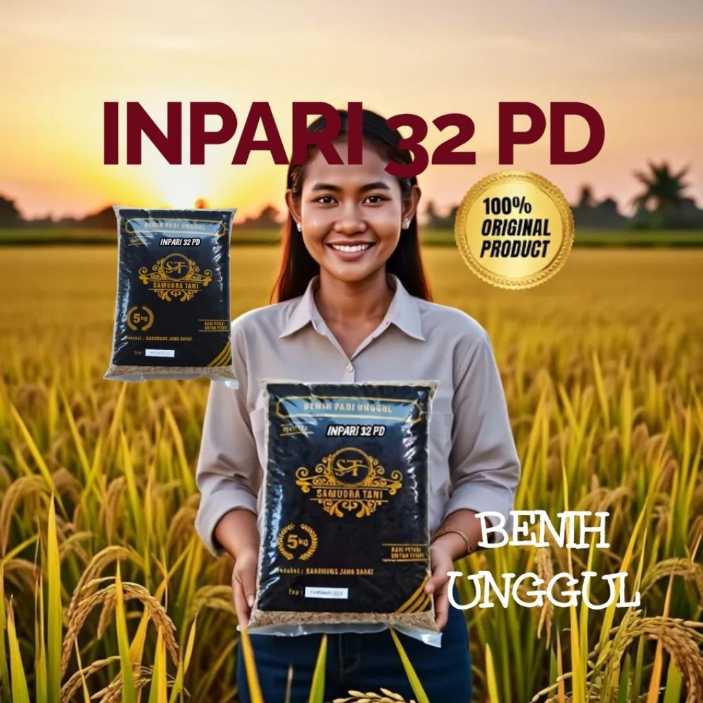 5kg benih padi INPARI 32 PD gabah unggul original bulir padi super jumbo usia panen genjah