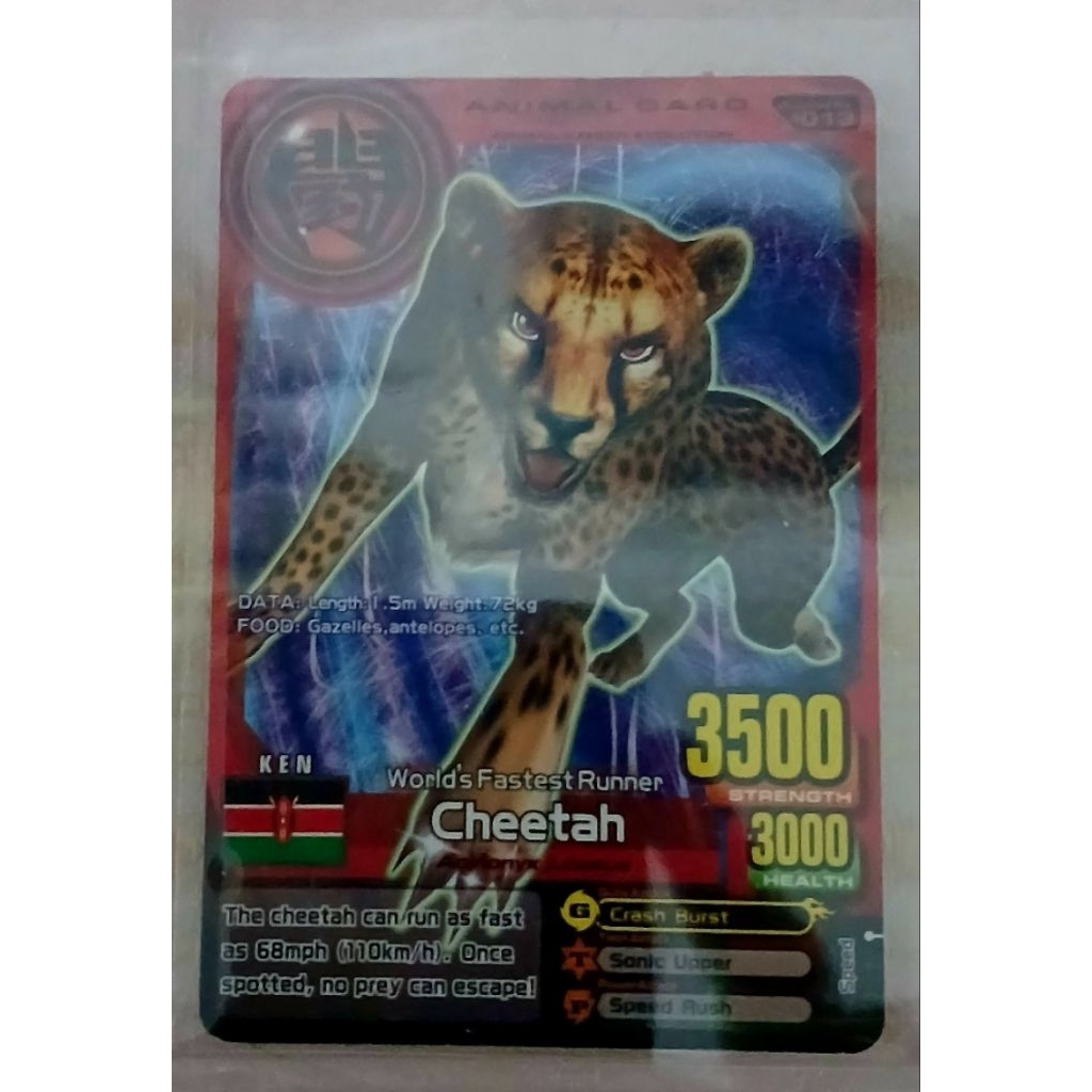 Animal Kaiser | Cheetah | Evo 8