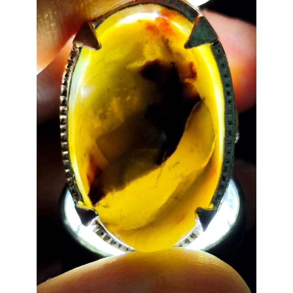 Natural Asem Petrified Wood / Batu Galih Asem, KRISTAL PANCAWARNA