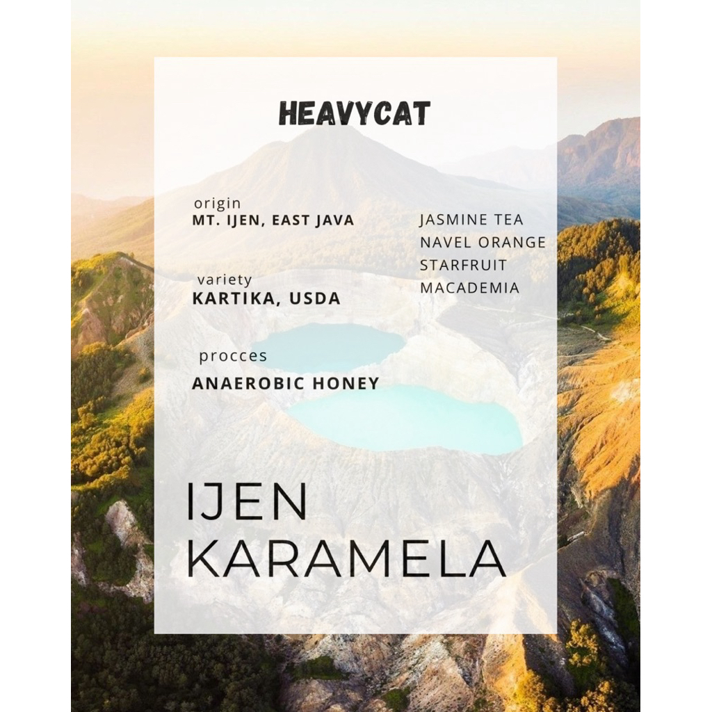 BIJI KOPI IJEN KARAMELA BY IJEN LESTARI (100 gr roasted beans)