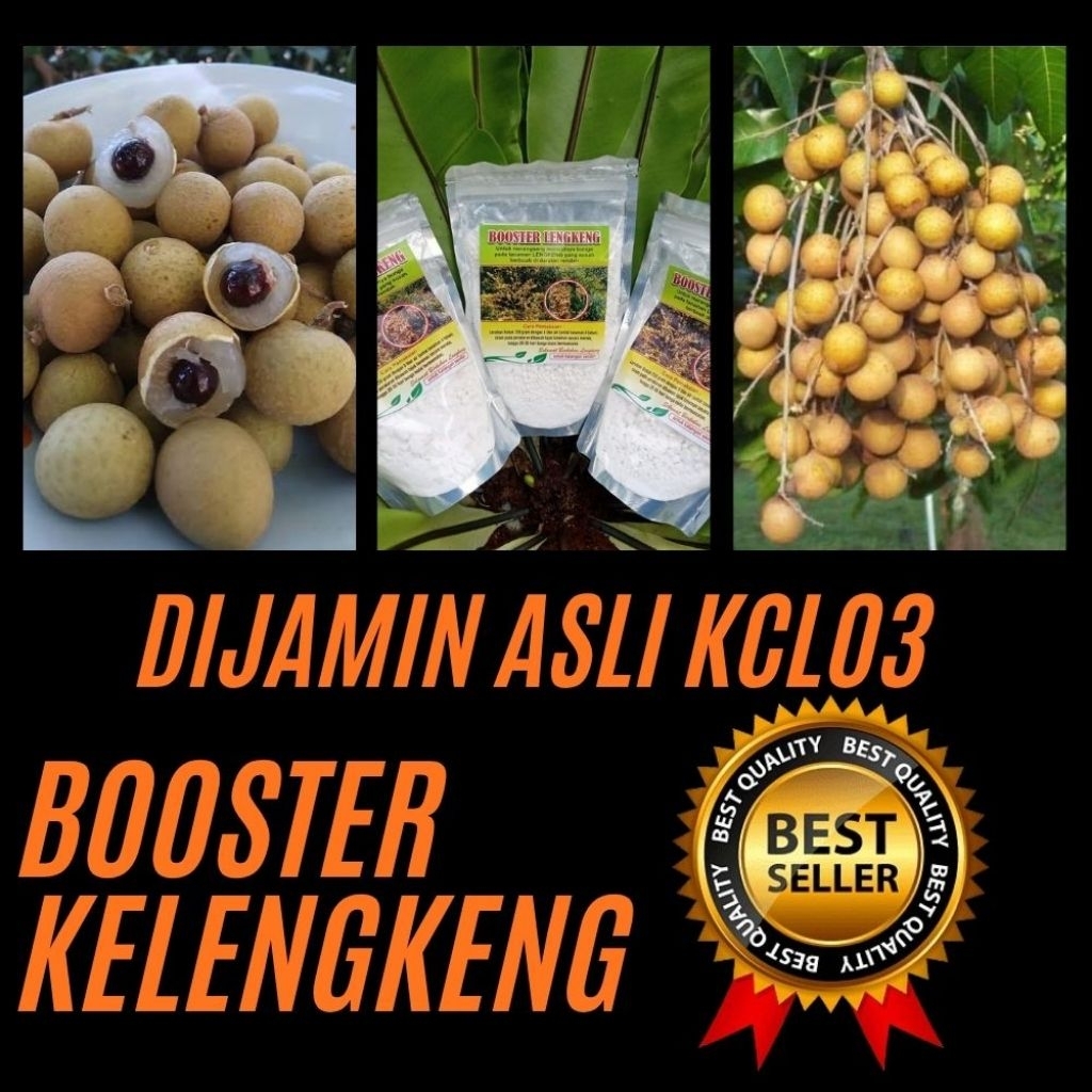 Booster Kelengkeng Murni 1 Kg, Booster Kelengkeng Kcl, Booster Kelengkeng Kclo3 Terdekat