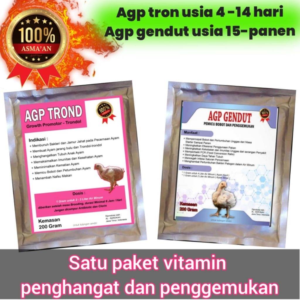 Agp trond dan agp gendut vitamin penggemukan