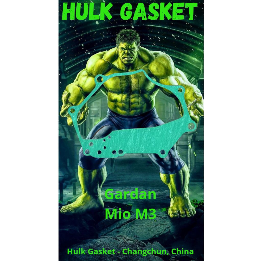 Paking Gardan Mio M3