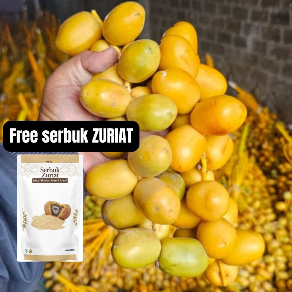 READY Kurma muda promil fresh free test pack ruthob/kurma muda merah kuning hijau