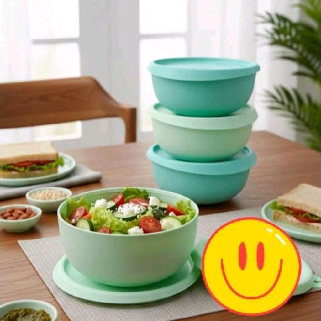 Tupperware everytime bowl 500ml / vivid/ radish