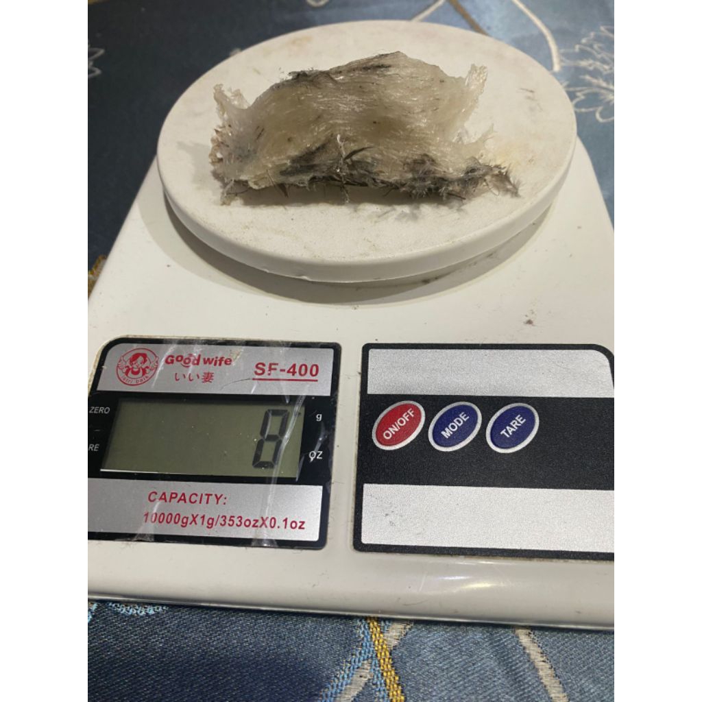 Sarang Walet Kotor Asli Kalimantan