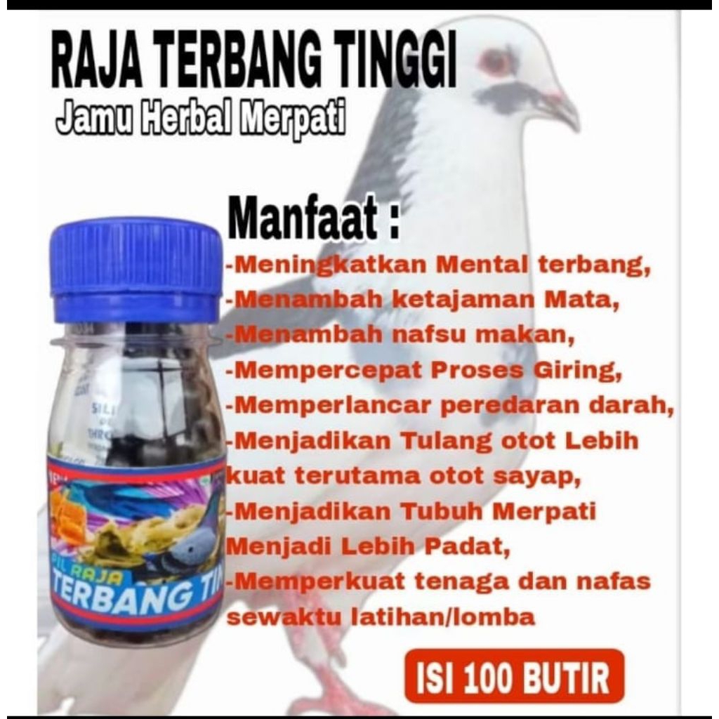 MANJUR JAMU MERPATI TERBANG TINGGI keket giring stut door buktikan khasiatnya Raja Doping Merpati Ti