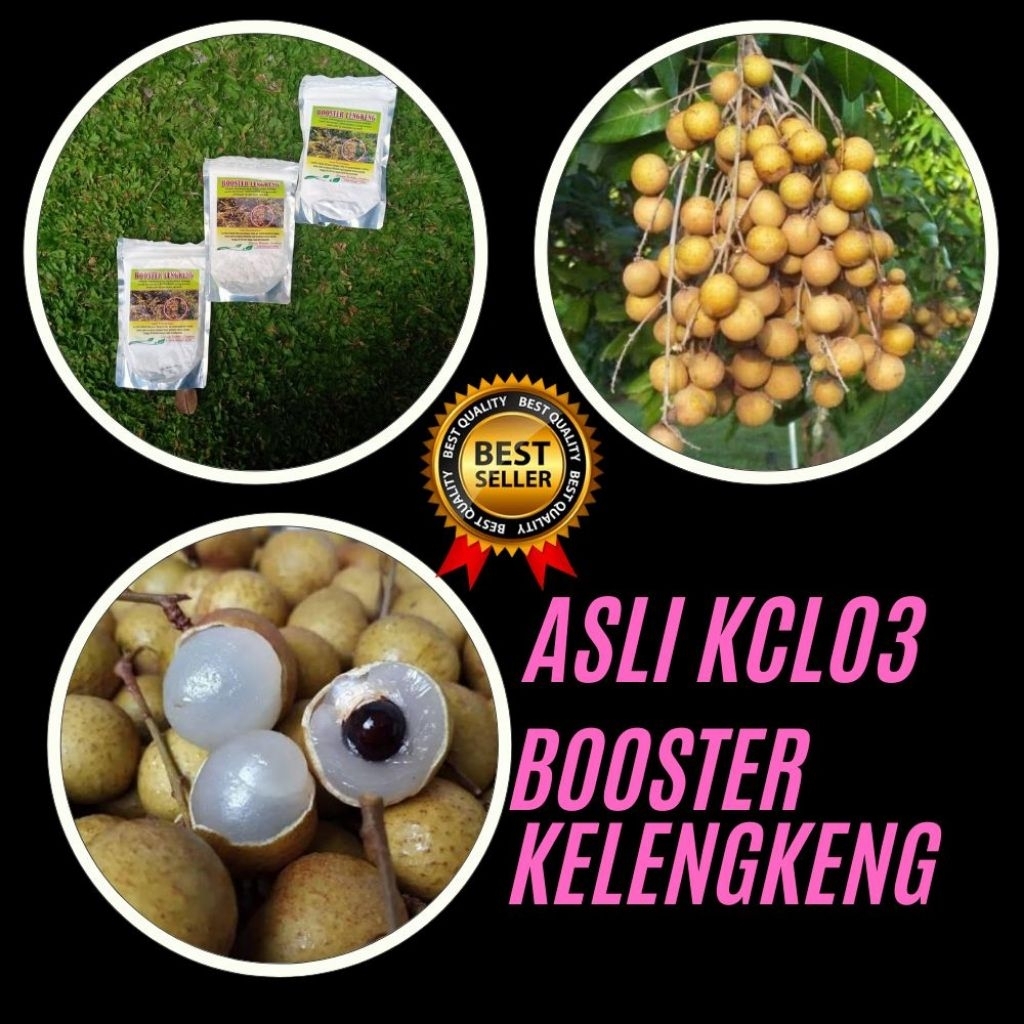 Boster Kelengkeng Itoh, Boster Kelengkeng Kclo3, Boster Kelengkeng