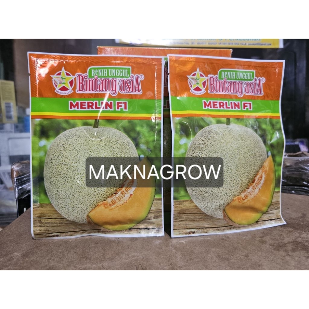 MELON MERLIN