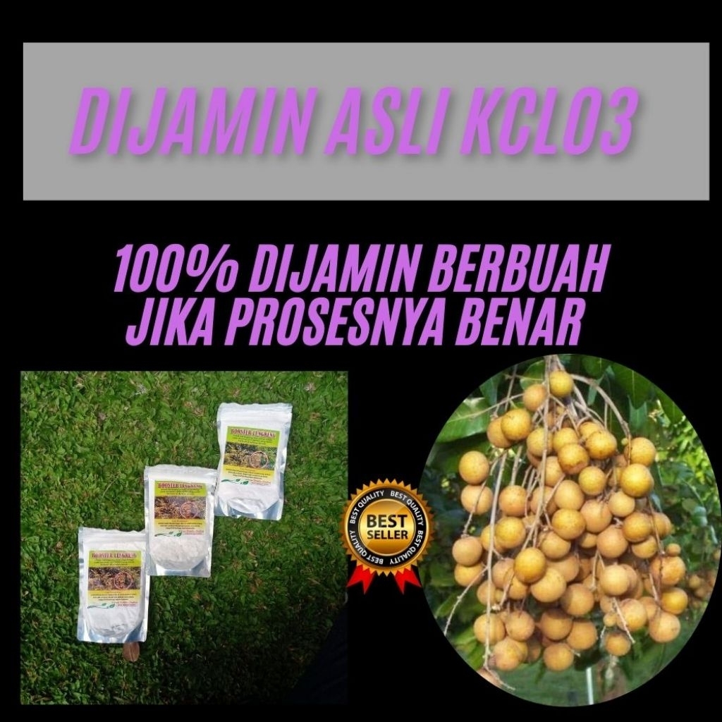 Boster Kelengkeng Kclo3