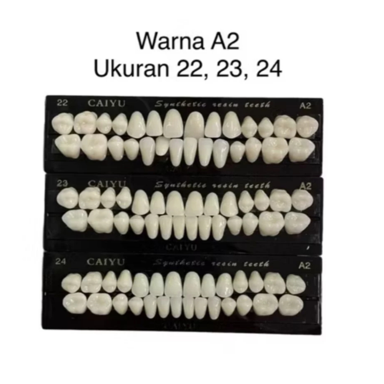 Fullset Dental Gigi Palsu Tiruan Caiyu Full Rahang Atas Bawah
