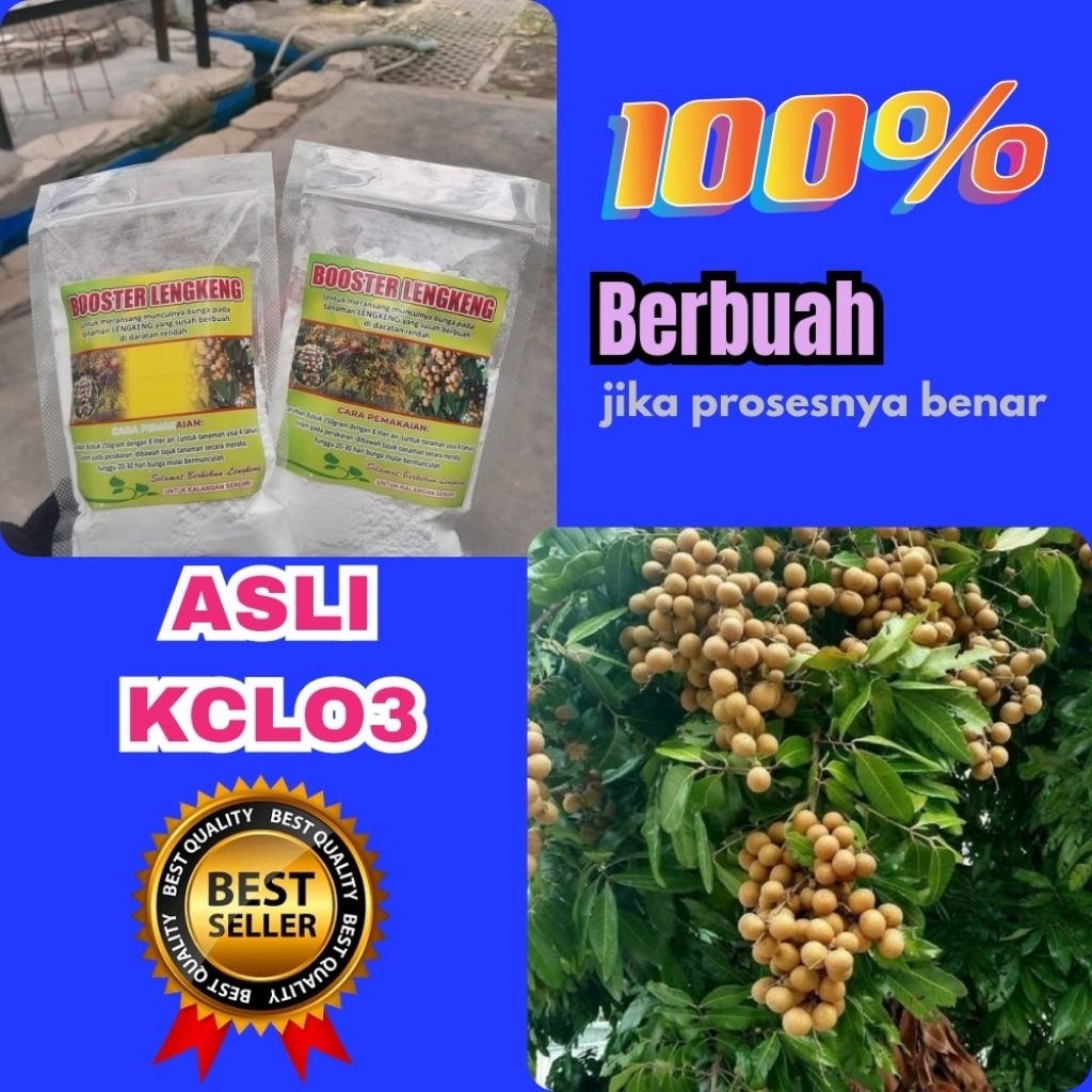 Boster Kelengkeng Buat Kelengkeng, Boster Kelengkeng Cair, Boster Kelengkeng Itoh