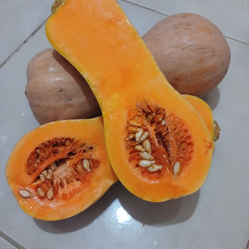 Labu Madu / Butternut Pumkin | Berat 1kg