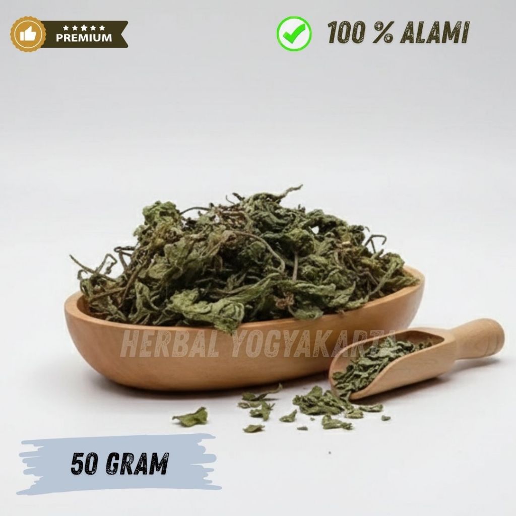 DAUN INSULIN KERING PREMIUM 50 GRAM UNTUK DIABETES