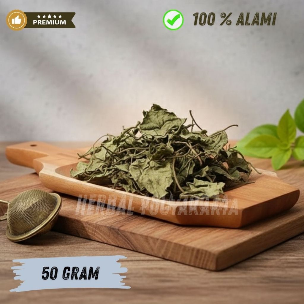 50 gram Daun Insulin Kering Super Untuk Diabetes | Daun Insulin Kering isi 50gram