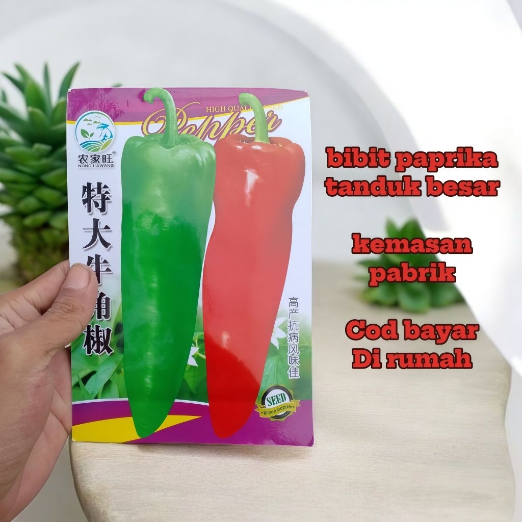 500 Biji Benih Paprika Tanduk Premium Unggul Kemasan Pabrik ORI Bibit Paprika Tanduk Besar Kualitas 