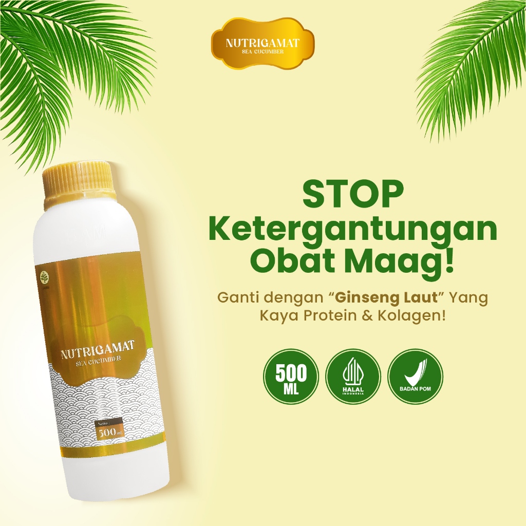 Nutrigamat Jelly Gamat Emas Asli 100% Original Dari Ekstrak Teripang Emas Pilihan Jely Gammat, Jeli 