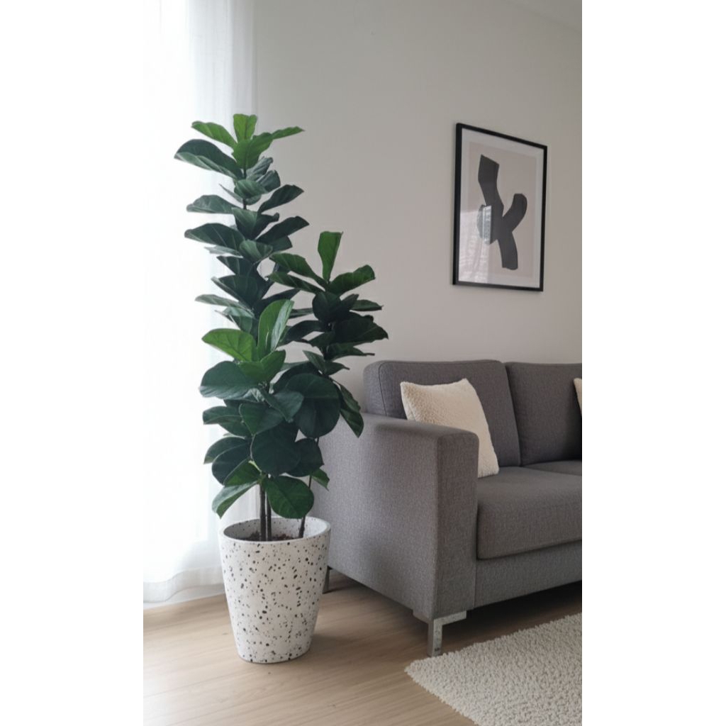 Pohon Ketapang plastik