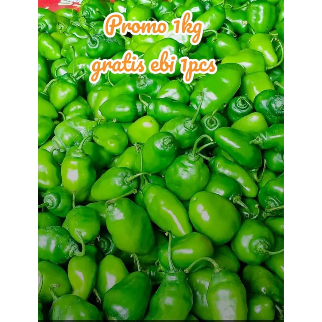 Cabe Gendot 1kg / Cabai Gendot Segar Bandung gratis ebi