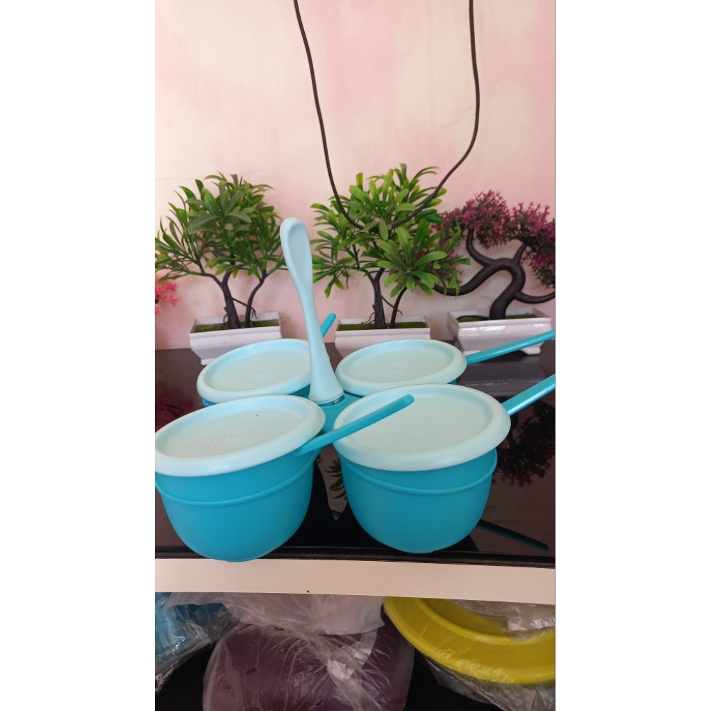 Blossom Condimet Set Tupperware