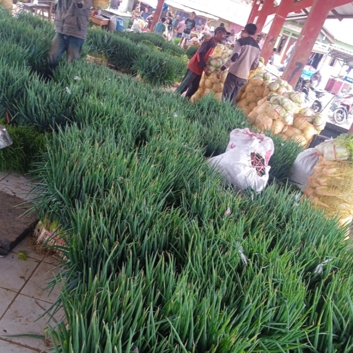 SAYURAN BUMBU DAPUR PROGRAM MBG