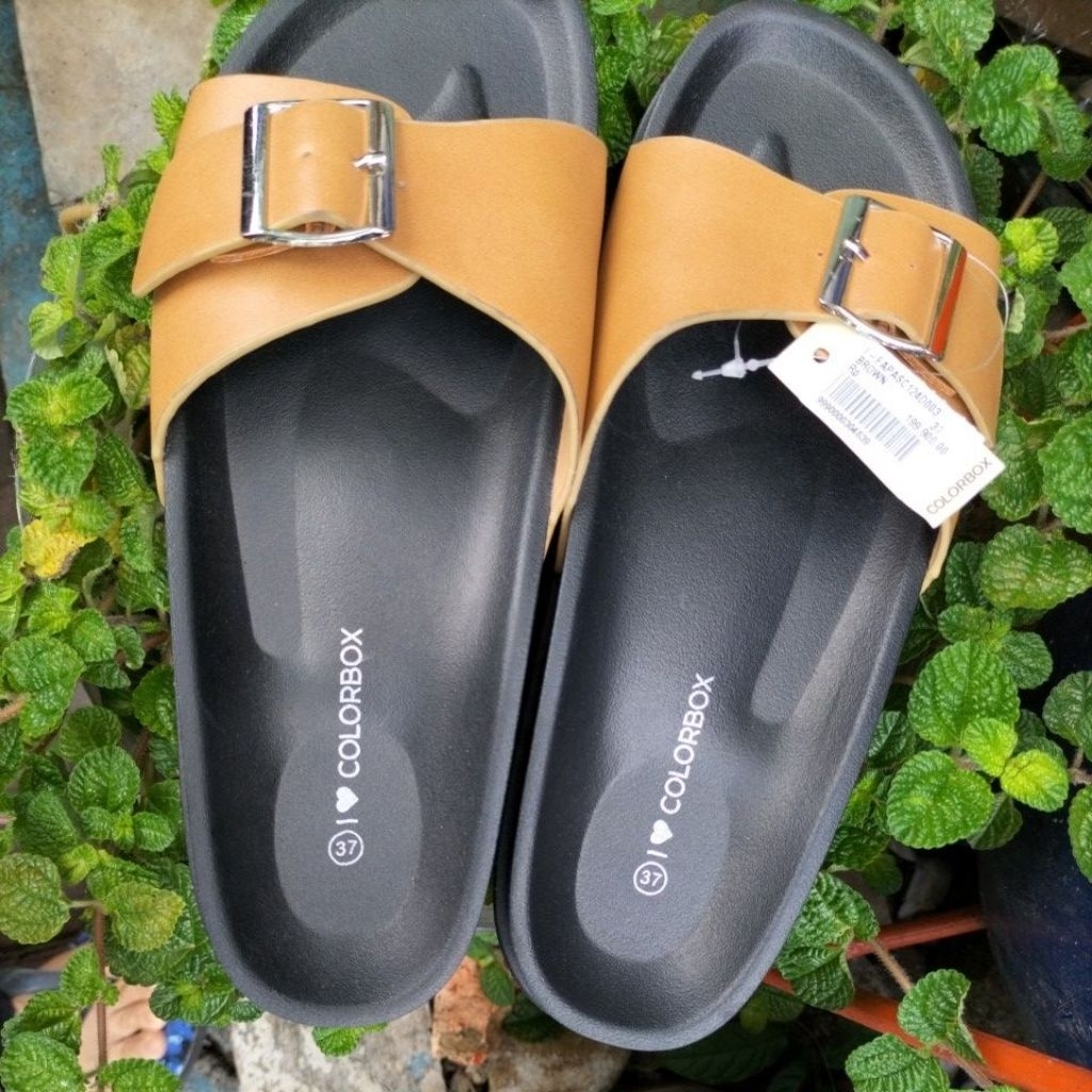 Sandal Colorbox ukuran 38