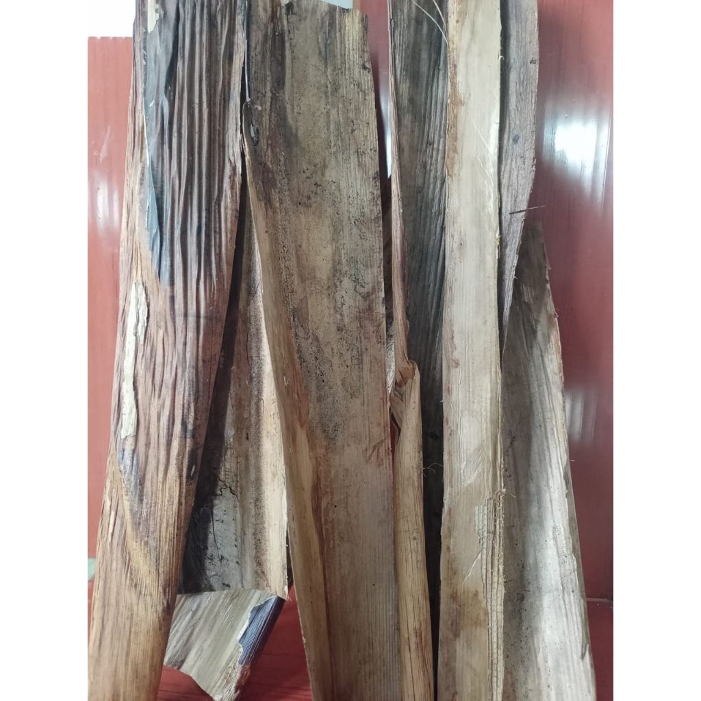 Pelepah Pisang Kering Untuk Prakarya Dan Kerajinan