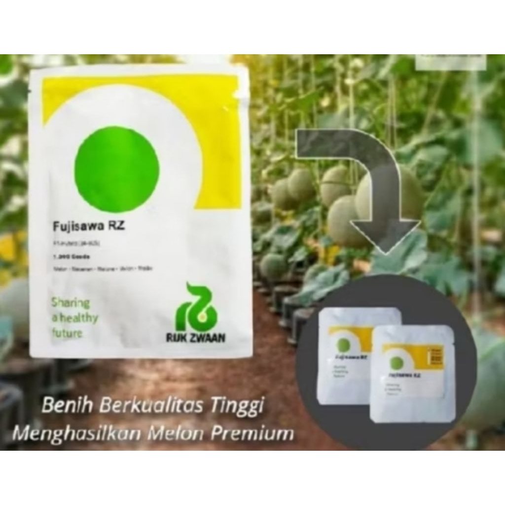 10 Biji Bibit Melon Fujisawa Rz  F1 Original