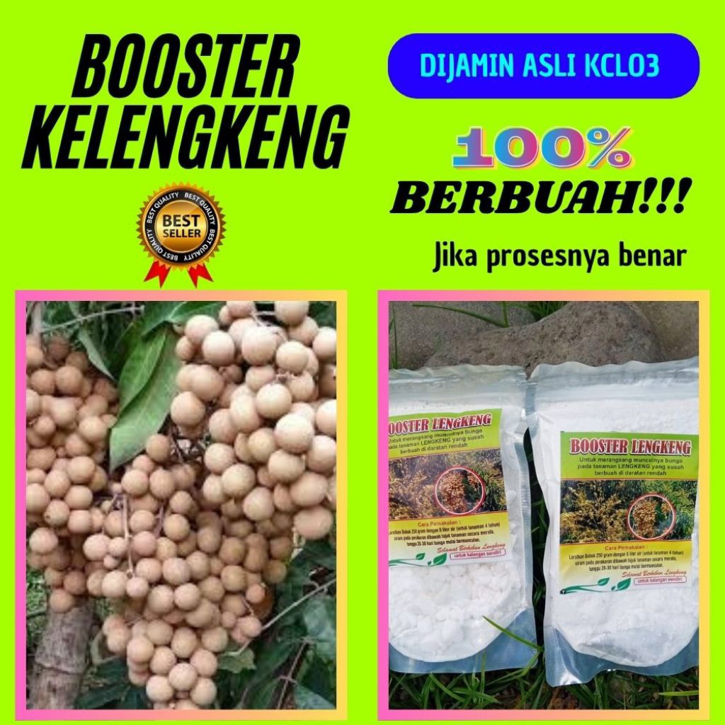Booster Kelengkeng Serbuk, Booster Kelengkeng Terbaik