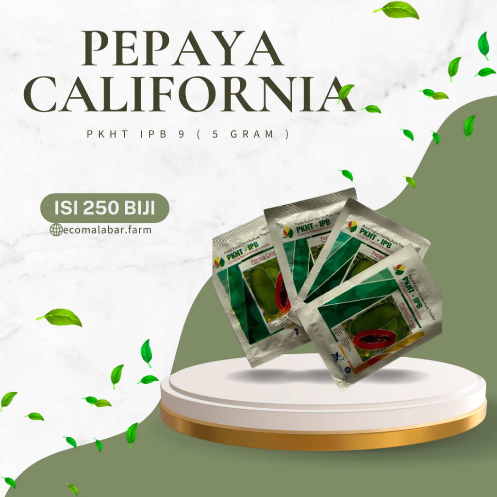 BENIH PEPAYA CALINA CALIFORNIA PKHT IPB 9 ISI 250 ( 5gr )