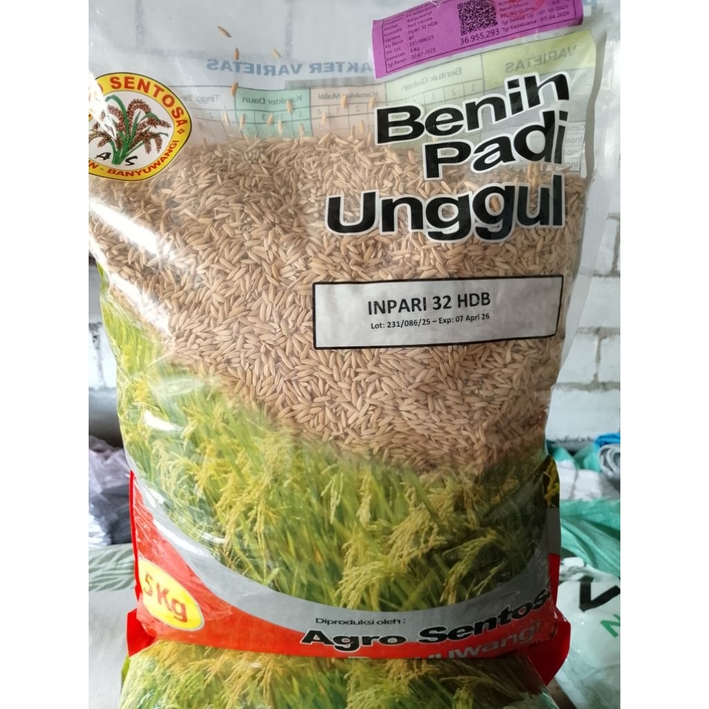 Benih padi premium INPARI 32 HDB  5 kg, Agro Santoso Banyuwangi expyt april 2026