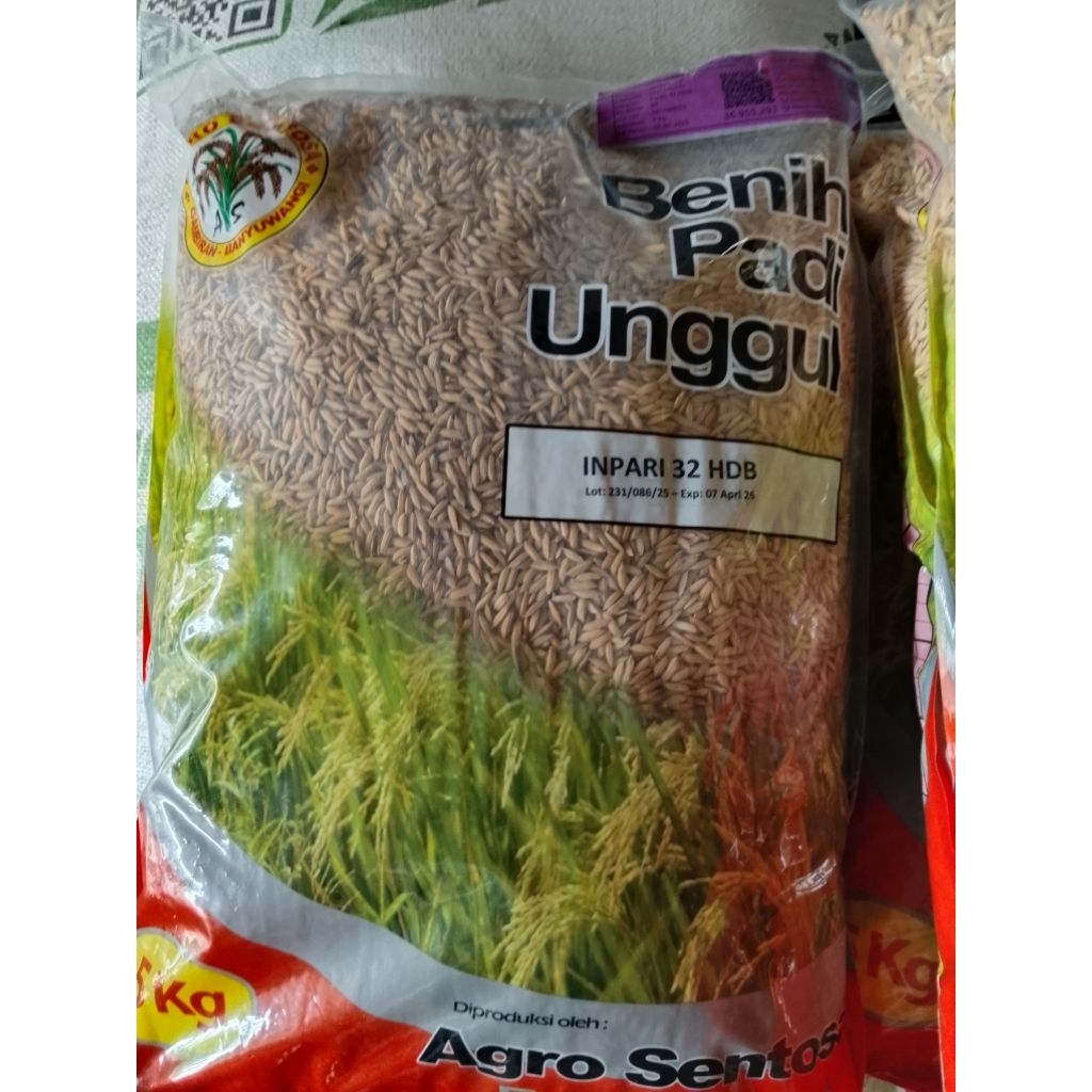 Benih padi varietas INPARI 32 HDB - SS  5 kg, AGRO SANTOSO Banyuwangi, Expyt juni 2026