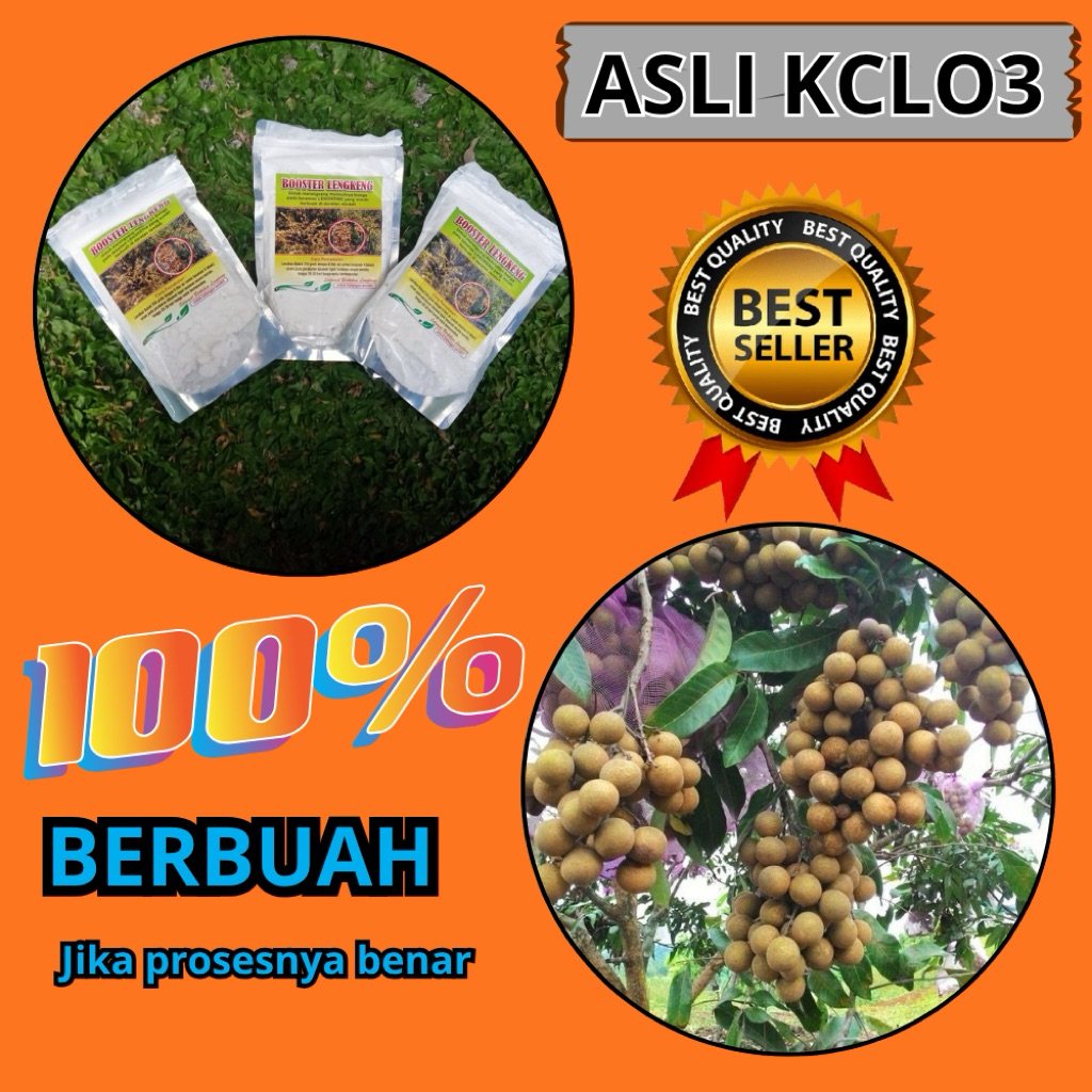 Boster Kelengkeng Serbuk, Boster Kelengkeng Terbaik, Boster Kelengkeng Terdekat