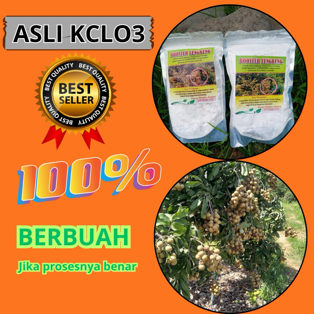 Pupuk Kelengkeng Kclo3