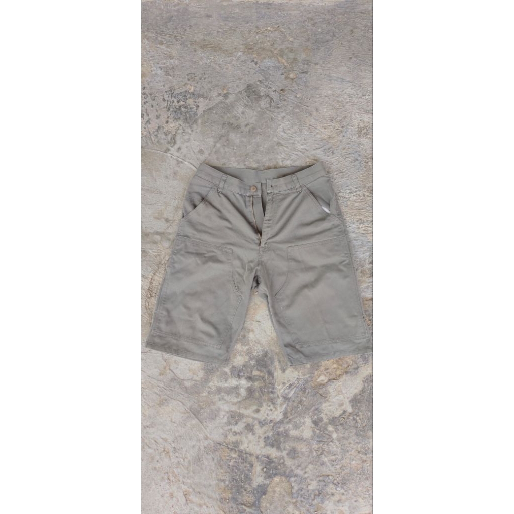 short pants Dickies Carpenter