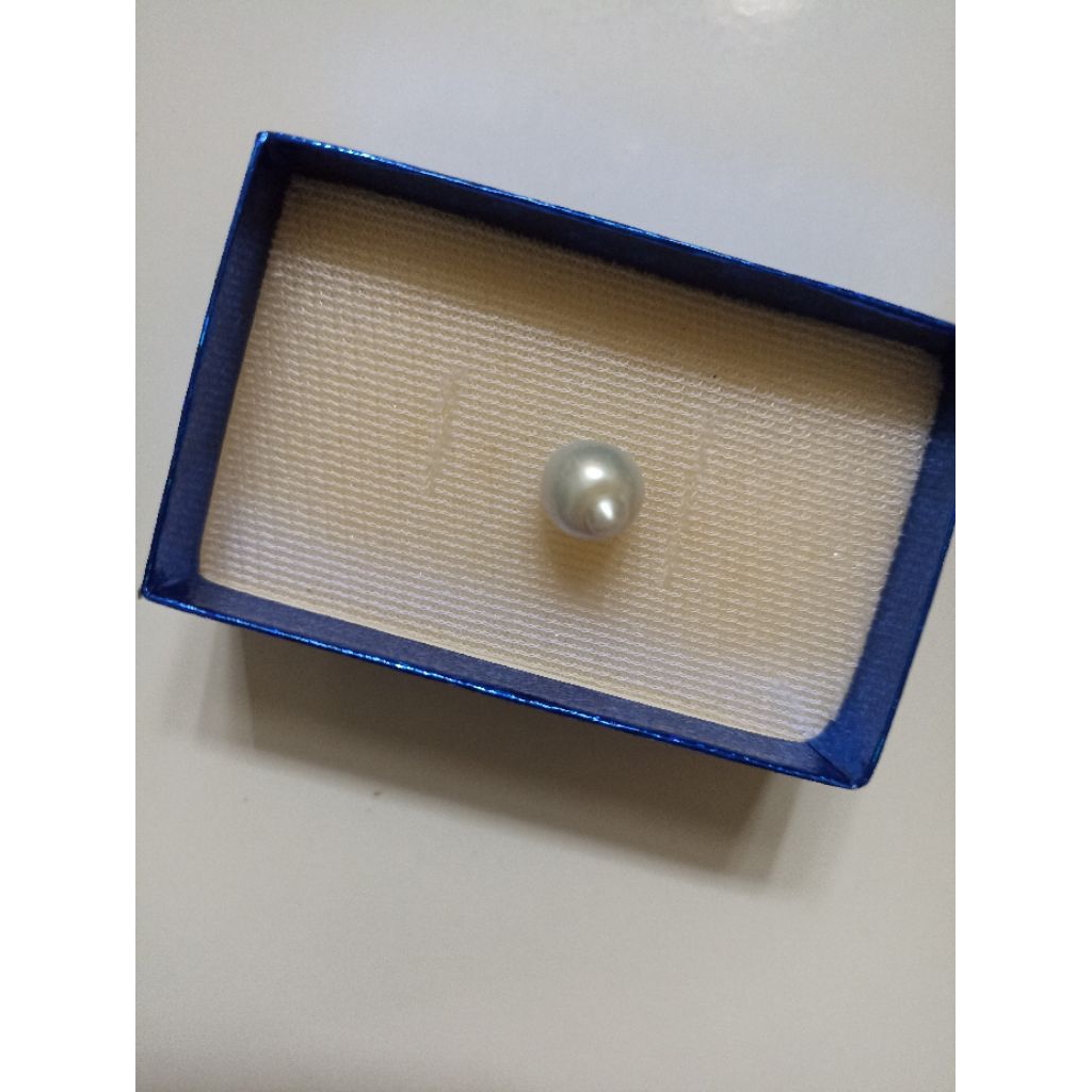 Mutiara Air Laut Asli Kepulauan Maluku