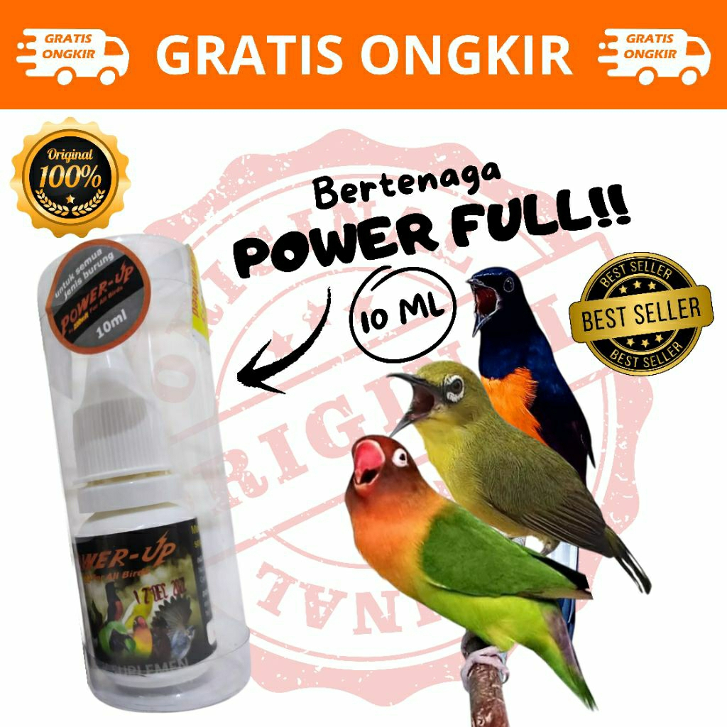 POWER UP 220 VOLT VITAMIN PENGGACOR BURUNG PLECI MURAI CUCAK HIJAU KONIN STABIL PENAMBAH STAMINA