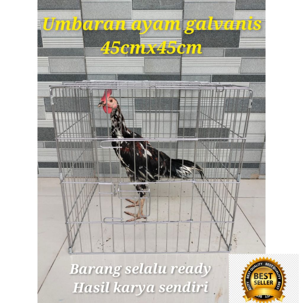KANDANG AYAM UMBARAN TRAPESIUM/ KOTAK GALVANIS ANTI KAFAT