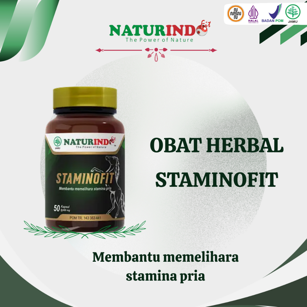 Staminofit Naturindo Obat Membantu Stamina Pria herbal BPOM Original