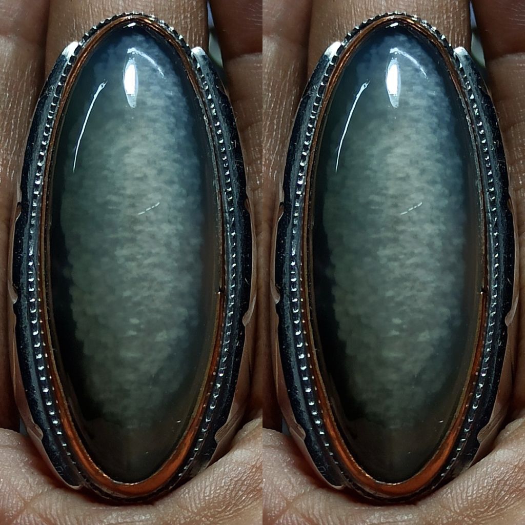 PANDAN LUMUT SISIK BETIK