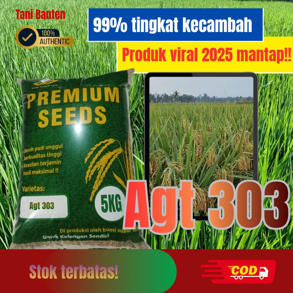 benih padi unggul Agt303 original 5kg