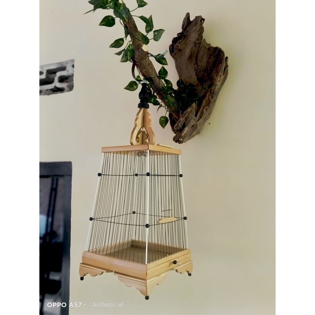 sangkar burcil | sangkar cungkok | sangkar kerucut