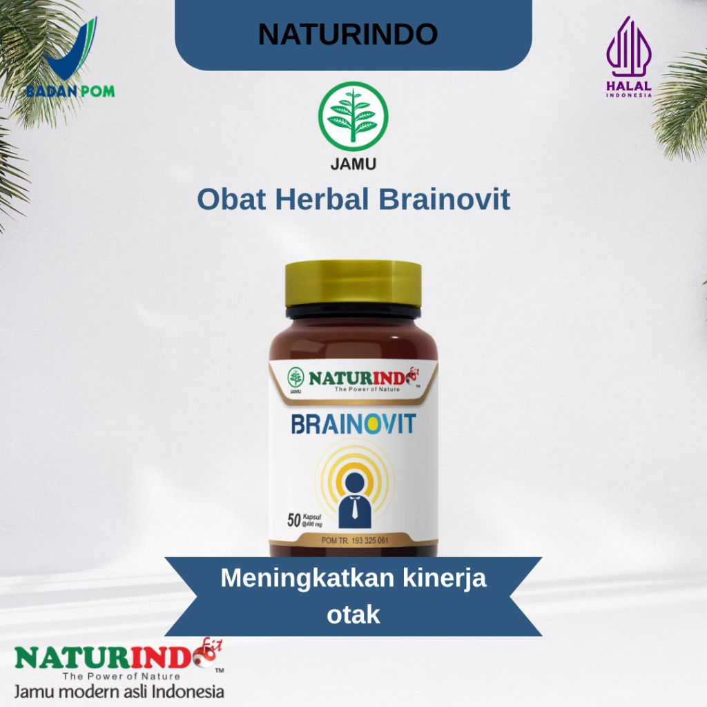 Obat Herbal Brainovit