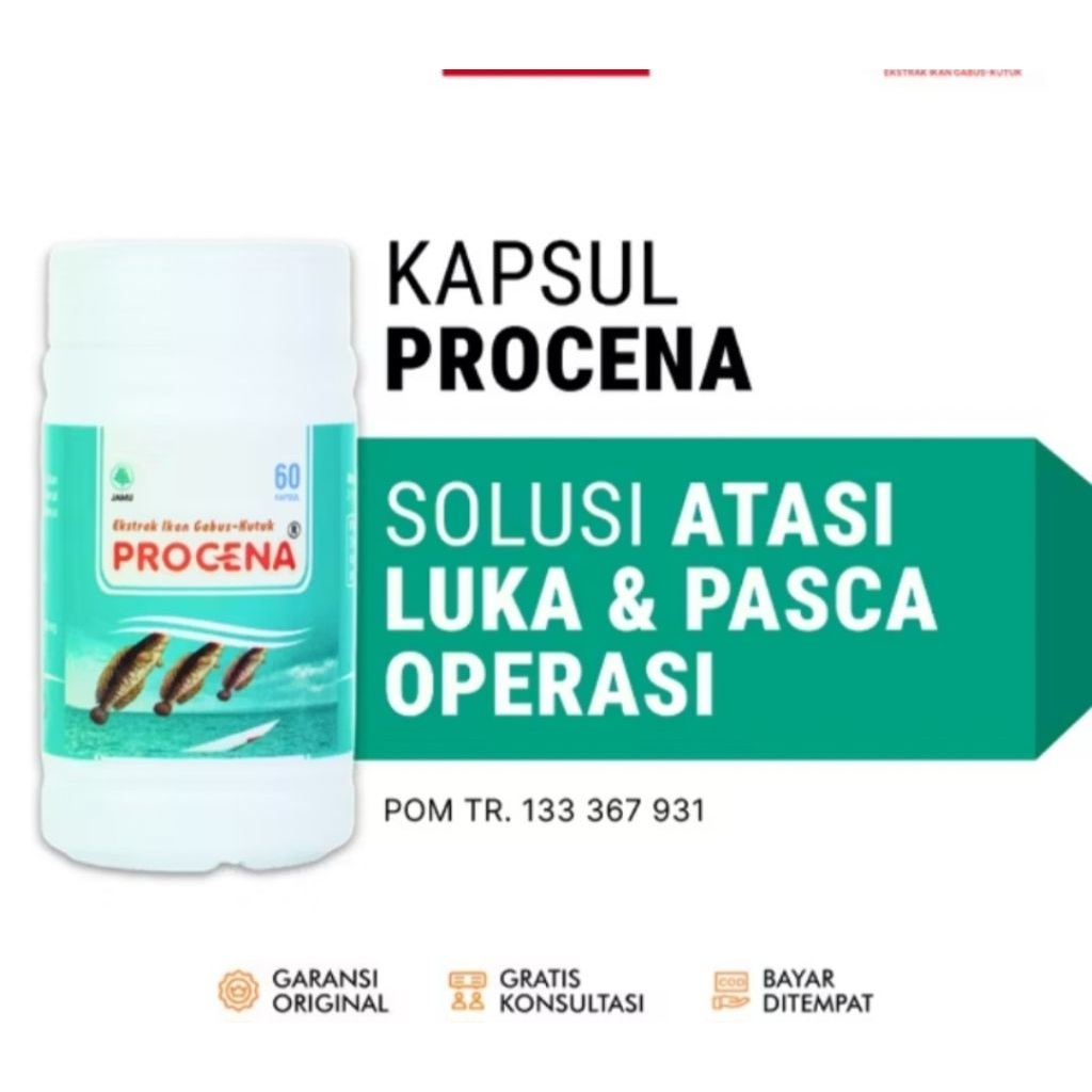 Procena extrakk ikan gabus obat luka diabetes